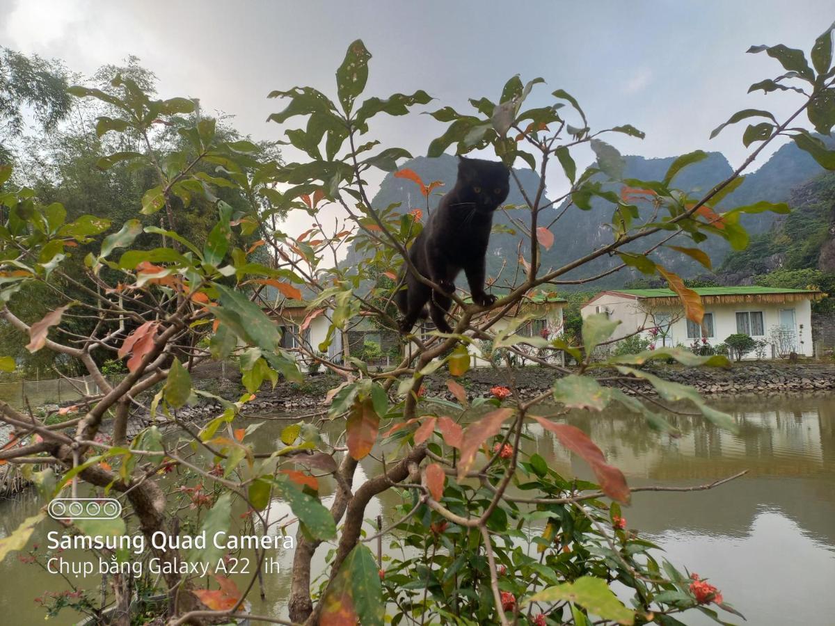 Trang An Pristine View Homestay 宁平 外观 照片