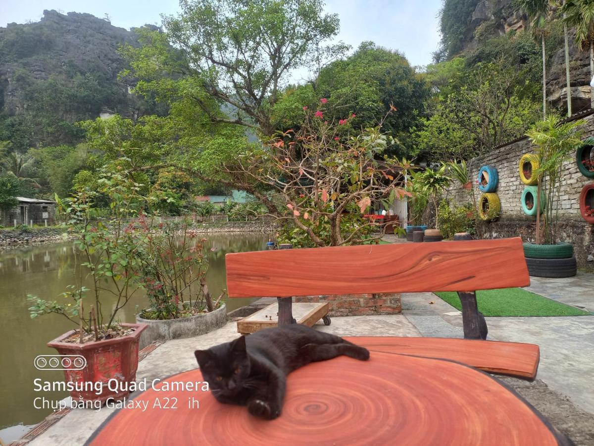 Trang An Pristine View Homestay 宁平 外观 照片